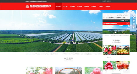 企業(yè)網(wǎng)站、程序軟件App解決方案